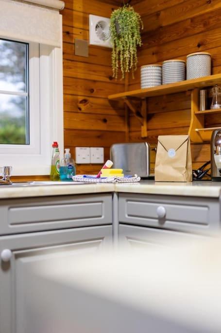 Rural Log Cabin In Snowdonia Near Coed Y Brenin By Seren Short Stays Ffestiniog Luaran gambar